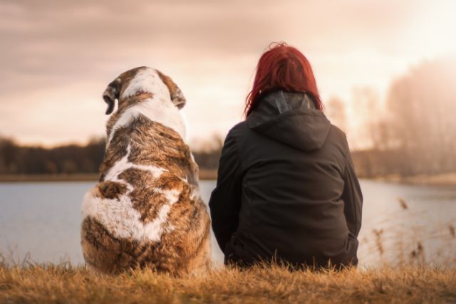 Animal Communication Sessions for Deceased Pets