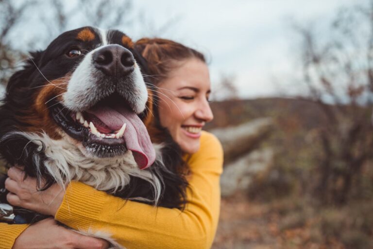 6 Signs You Have a Healing Pet Soul Contract