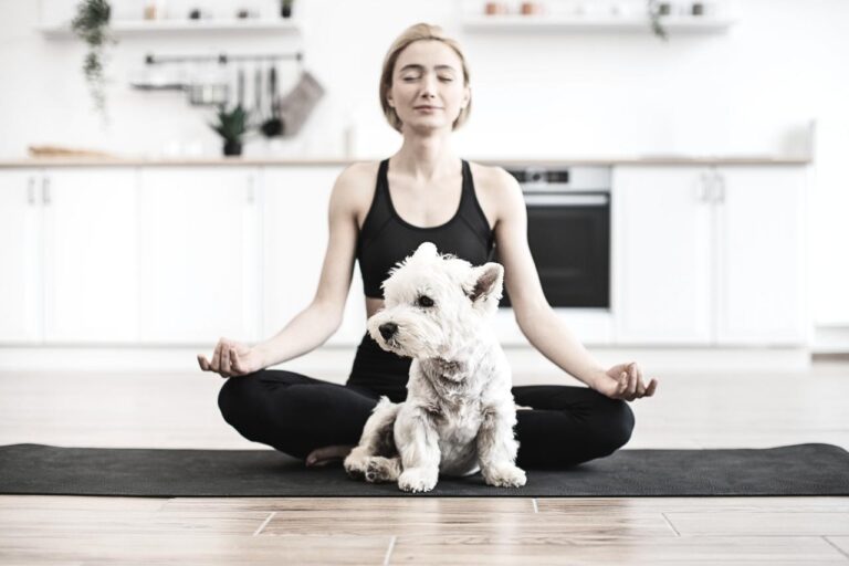 Meditation to connect with deceased pets